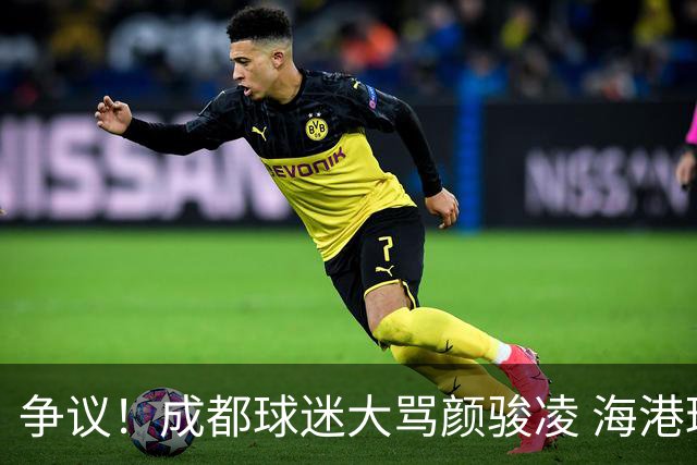 争议！成都球迷大骂颜骏凌 海港球迷：四处拉仇恨 难怪被群起攻之