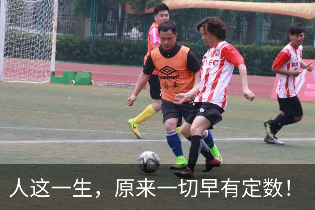 人这一生，原来一切早有定数！（看哭无数人）
