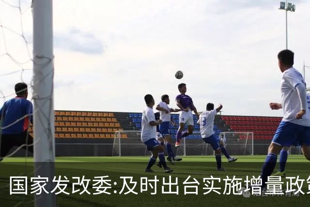 国家发改委:及时出台实施增量政策