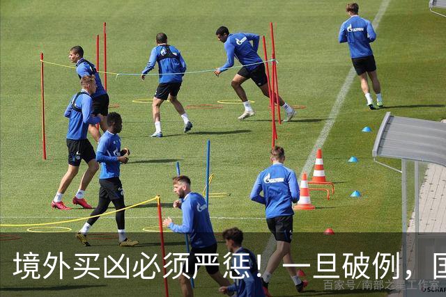 境外买凶必须严惩！一旦破例，国内普通人将沦为资本砧板上的鱼肉