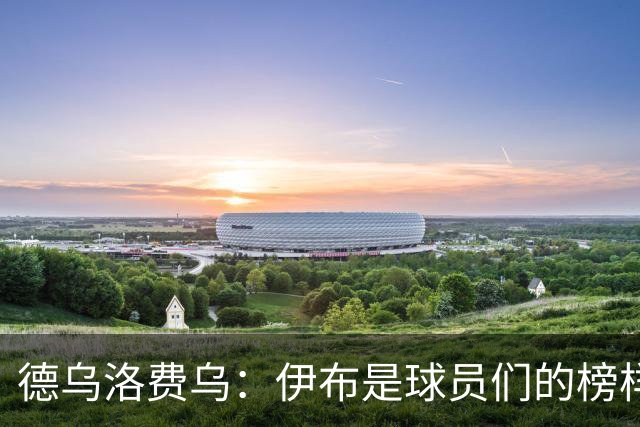 德乌洛费乌：伊布是球员们的榜样 用行动证明自己