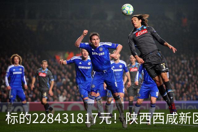 标的228431817元！陕西西咸新区发展集团有限公司新增被执行人记录