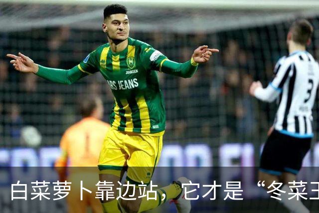 白菜萝卜靠边站，它才是“冬菜王”！天然养胃、强筋骨，炒菜太鲜了