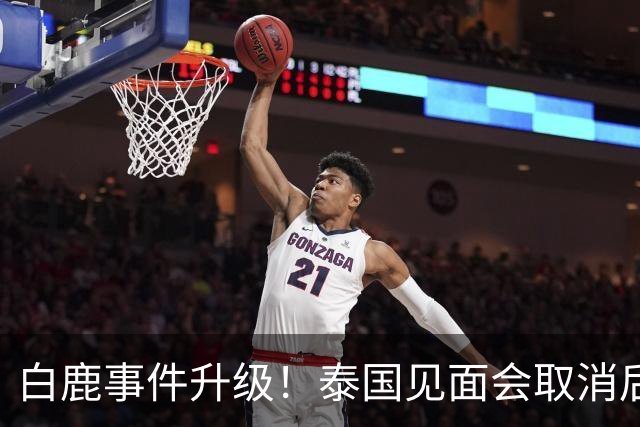 白鹿事件升级！泰国见面会取消后，缅北视频又被扒，黑历史曝光