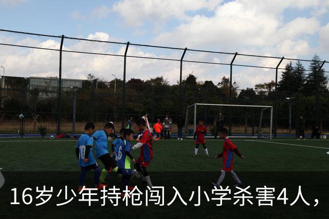 16岁少年持枪闯入小学杀害4人，英雄路人追进学校击毙枪手，但可能面临刑事指控